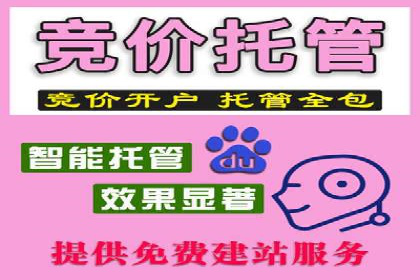 百度信息流广告推广：成功案例解析